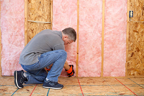 Insulation Inspection Services in Maury, NC